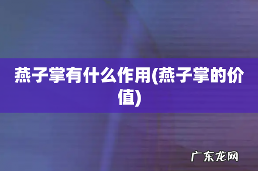 燕子掌的价值 燕子掌有什么作用