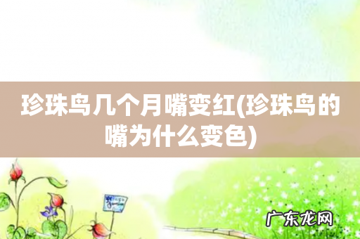 珍珠鸟的嘴为什么变色 珍珠鸟几个月嘴变红