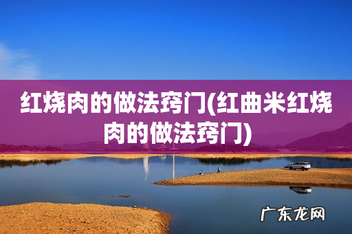 红曲米红烧肉的做法窍门 红烧肉的做法窍门