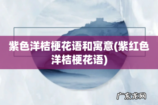 紫红色洋桔梗花语 紫色洋桔梗花语和寓意