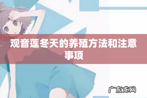 观音莲冬天的养殖方法和注意事项