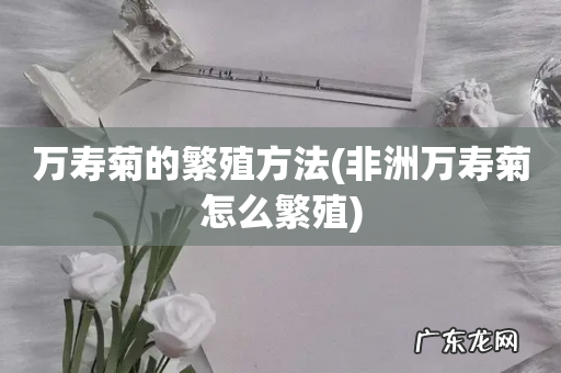 非洲万寿菊怎么繁殖 万寿菊的繁殖方法