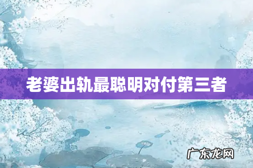 老婆出轨最聪明对付第三者