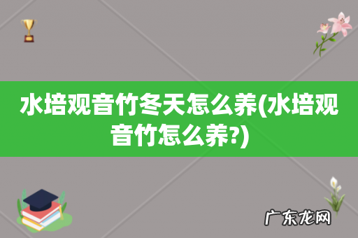 水培观音竹怎么养? 水培观音竹冬天怎么养