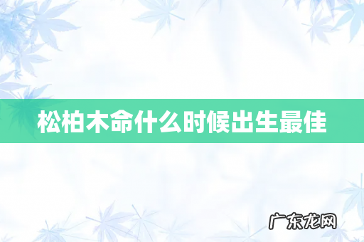 松柏木命什么时候出生最佳