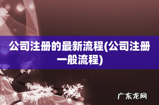 公司注册一般流程 公司注册的最新流程