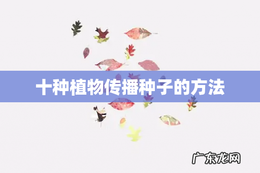 十种植物传播种子的方法