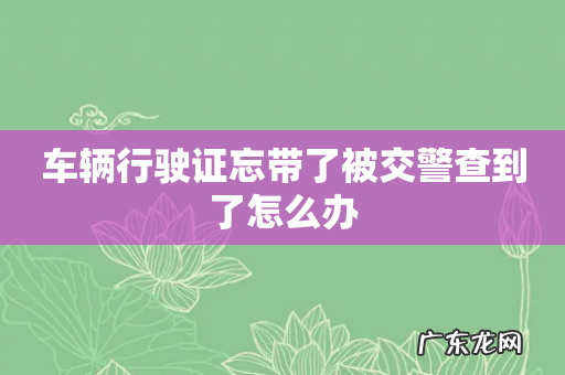 车辆行驶证忘带了被交警查到了怎么办
