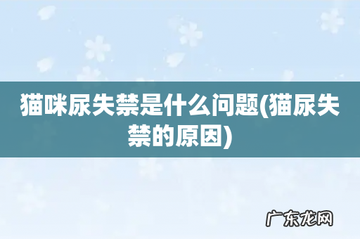 猫尿失禁的原因 猫咪尿失禁是什么问题