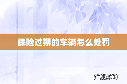 保险过期的车辆怎么处罚