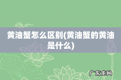 黄油蟹的黄油是什么 黄油蟹怎么区别