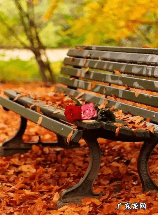 珍惜眼前人图片 珍惜眼前人把握时光风水轮流转