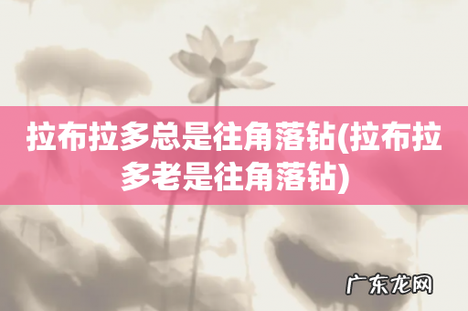 拉布拉多老是往角落钻 拉布拉多总是往角落钻