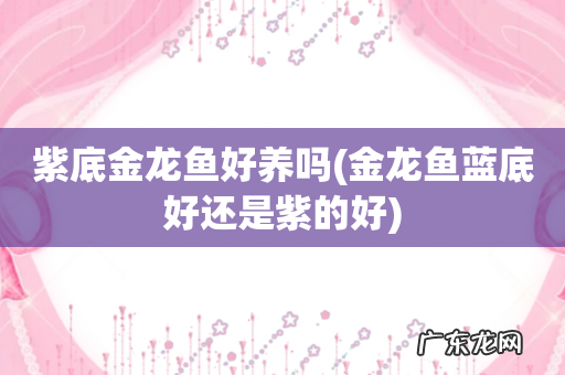 金龙鱼蓝底好还是紫的好 紫底金龙鱼好养吗
