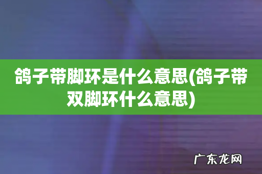 鸽子带双脚环什么意思 鸽子带脚环是什么意思