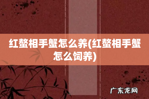 红螯相手蟹怎么饲养 红螯相手蟹怎么养