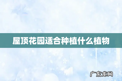 屋顶花园适合种植什么植物