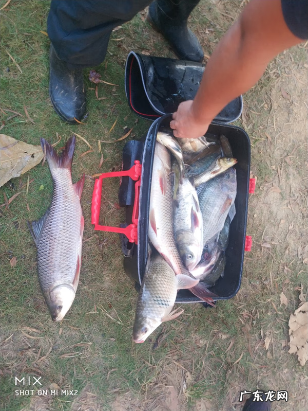 五行风水微信名 微信3d钓鱼风水