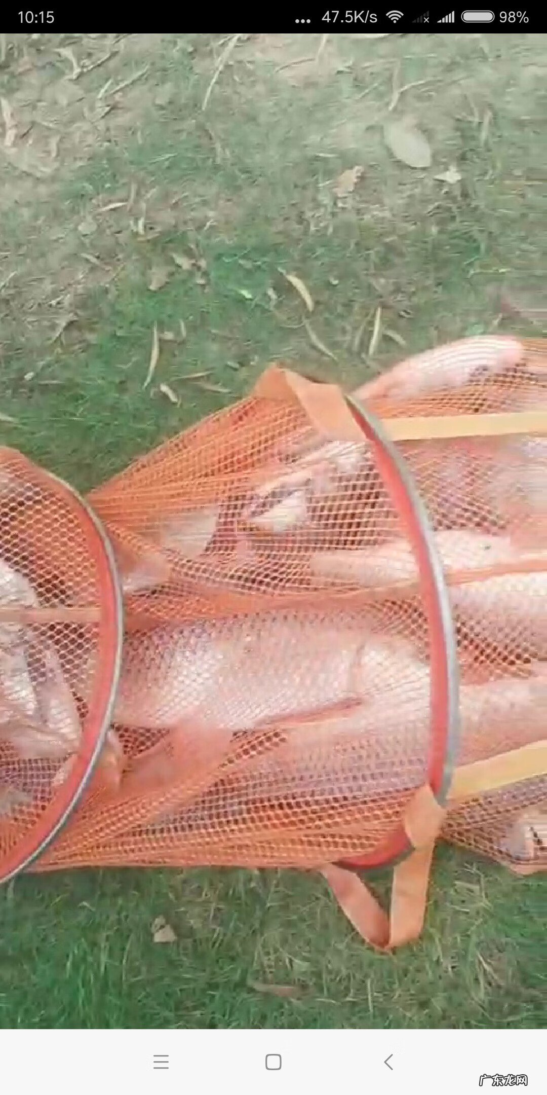 五行风水微信名 微信3d钓鱼风水