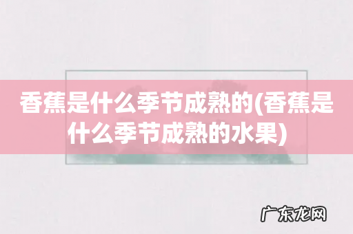 香蕉是什么季节成熟的水果 香蕉是什么季节成熟的