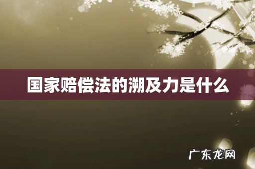 国家赔偿法的溯及力是什么