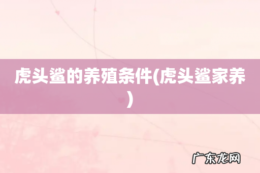 虎头鲨家养 虎头鲨的养殖条件