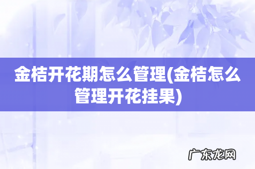 金桔怎么管理开花挂果 金桔开花期怎么管理