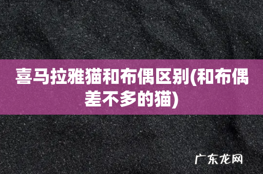 和布偶差不多的猫 喜马拉雅猫和布偶区别