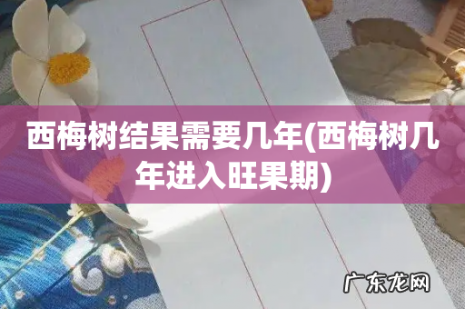 西梅树几年进入旺果期 西梅树结果需要几年