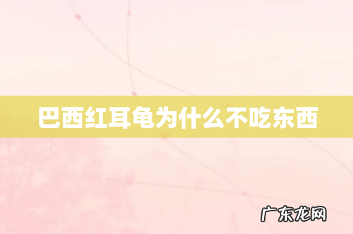 巴西红耳龟为什么不吃东西