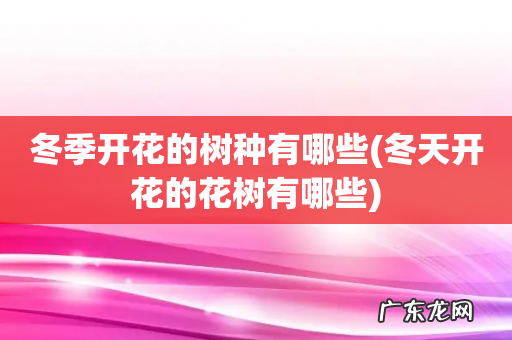 冬天开花的花树有哪些 冬季开花的树种有哪些