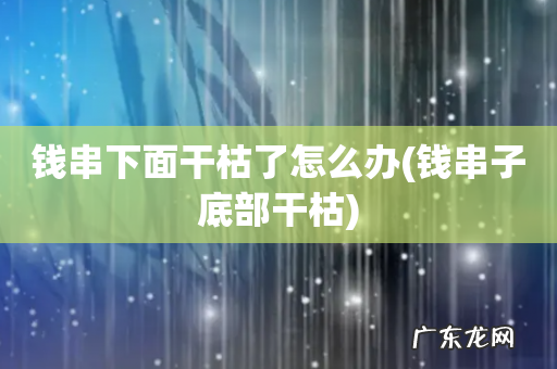 钱串子底部干枯 钱串下面干枯了怎么办