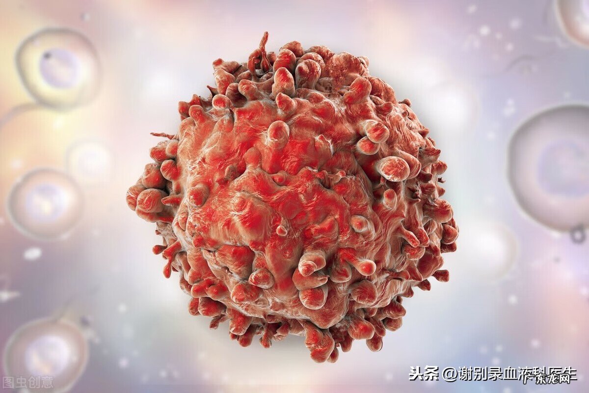 为什么叫白血病 到底什么是白血病