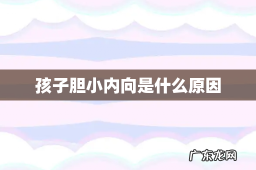 孩子胆小内向是什么原因