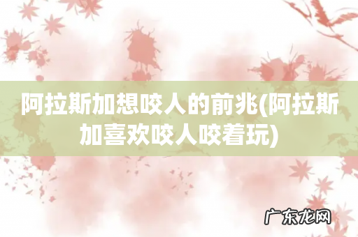 阿拉斯加喜欢咬人咬着玩 阿拉斯加想咬人的前兆