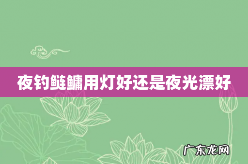 夜钓鲢鳙用灯好还是夜光漂好