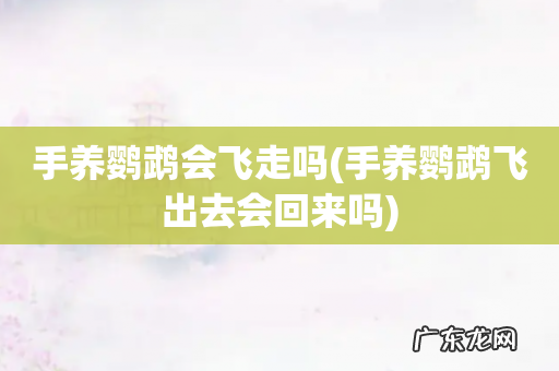 手养鹦鹉飞出去会回来吗 手养鹦鹉会飞走吗