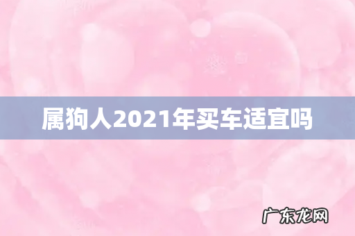 属狗人2021年买车适宜吗