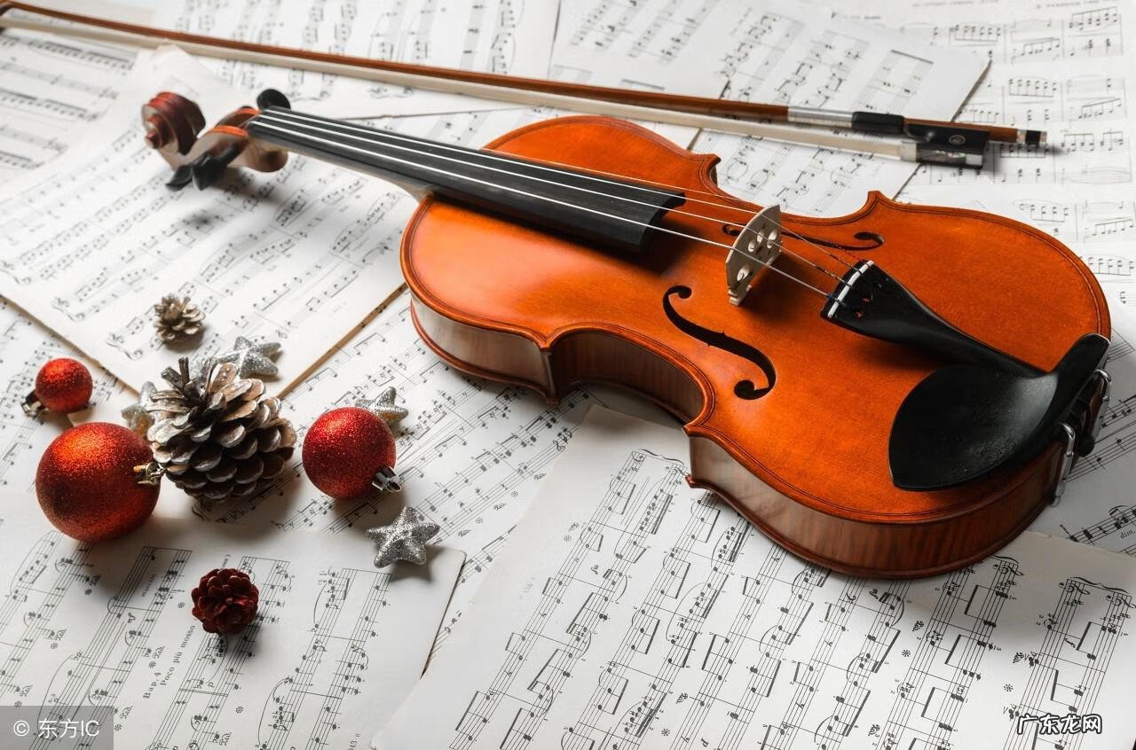 小提琴怎么说英语 小提琴英语怎么说