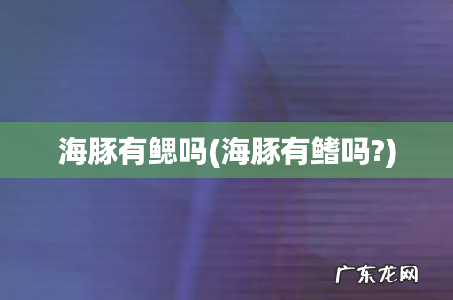 海豚有鳍吗? 海豚有鳃吗
