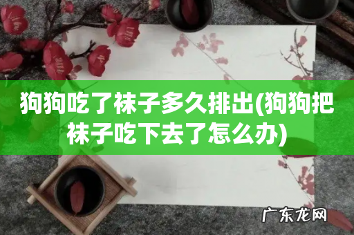 狗狗把袜子吃下去了怎么办 狗狗吃了袜子多久排出