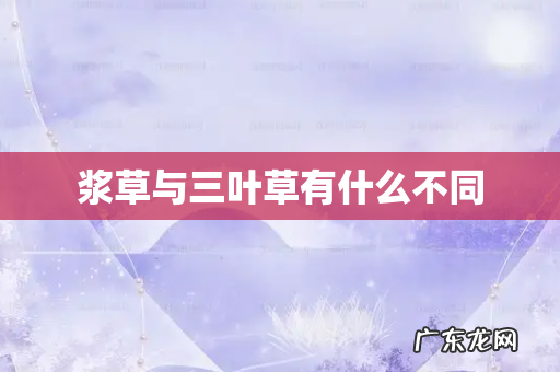 浆草与三叶草有什么不同