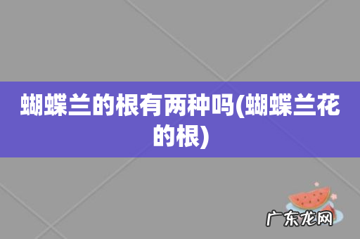 蝴蝶兰花的根 蝴蝶兰的根有两种吗