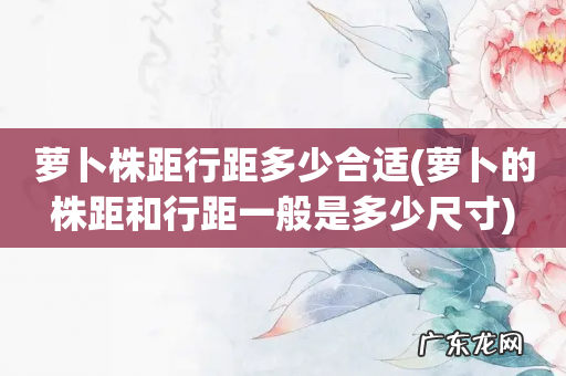 萝卜的株距和行距一般是多少尺寸 萝卜株距行距多少合适