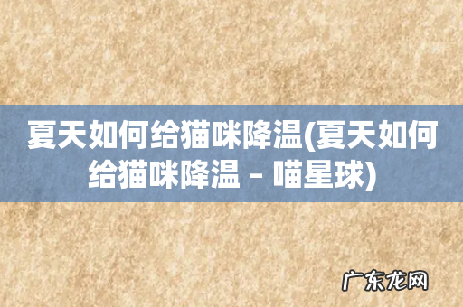 夏天如何给猫咪降温 – 喵星球 夏天如何给猫咪降温