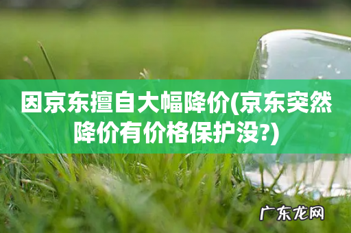 京东突然降价有价格保护没? 因京东擅自大幅降价