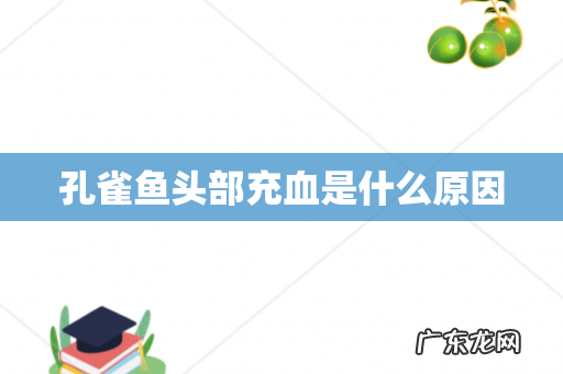 孔雀鱼头部充血是什么原因