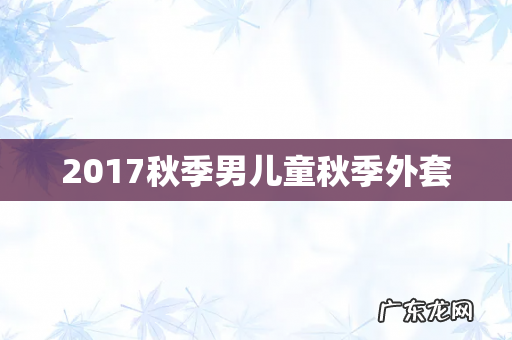 2017秋季男儿童秋季外套