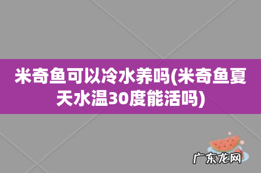 米奇鱼夏天水温30度能活吗 米奇鱼可以冷水养吗