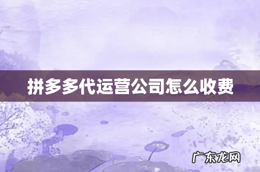 拼多多代运营公司怎么收费